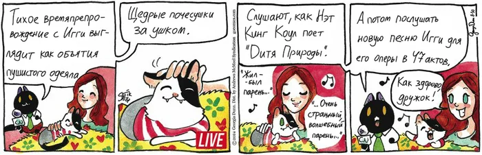 Koteikiny News from 08/30/2024 - My, cat, Comics, Koteikin news (comic), Translation