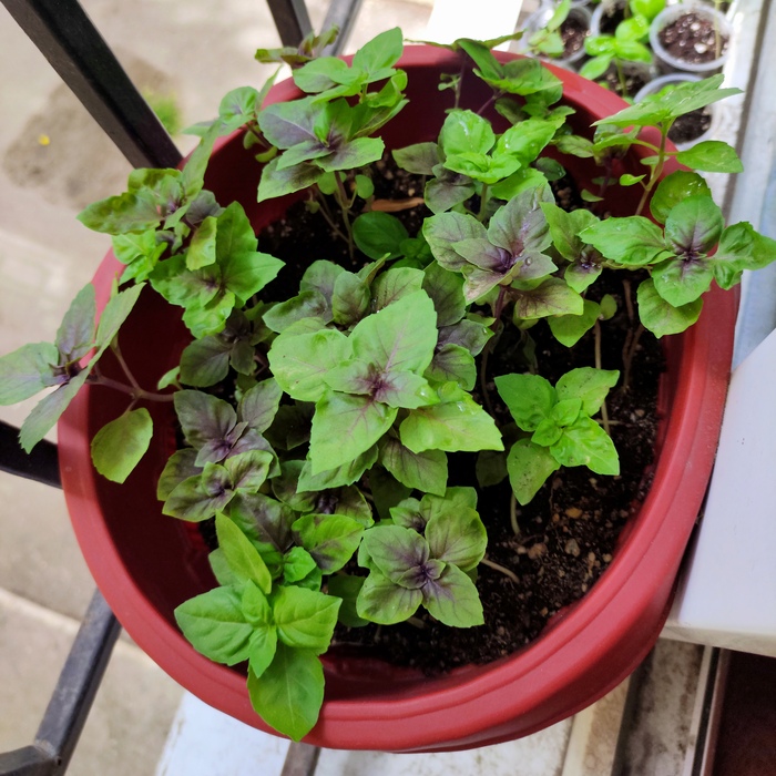 ��� ��������� �������. ��������� ����� ���� �� ������ ����� ����� ������ �������� � �� �������� �� ������. ��������� ������� �����