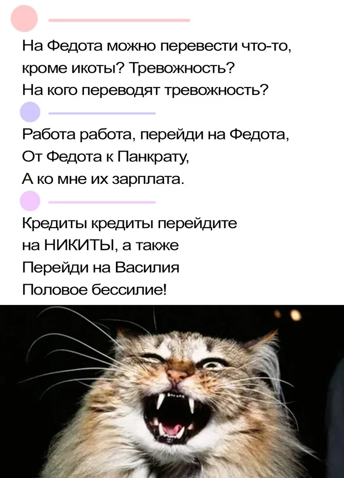 Вот так появляются жертвы домашнего Василия - Юмор, Кредит, Диалог, Скриншот, Картинка с текстом, Кот