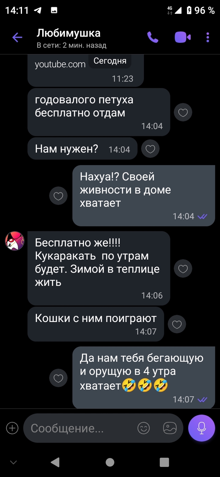 ��� �������� � ����