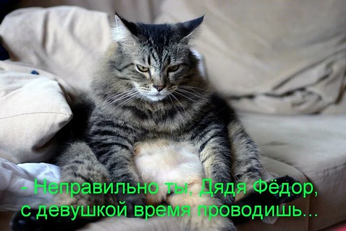 Matroskin knows everything - Humor, Matroskin the cat, Uncle Fedor, Advice, Picture with text