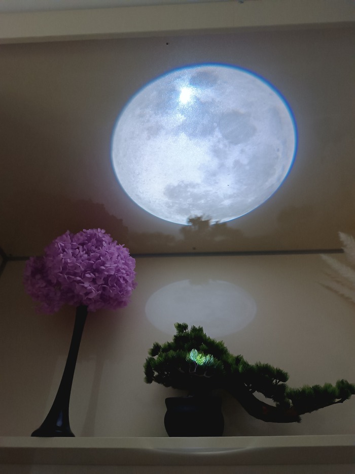 �������� ����