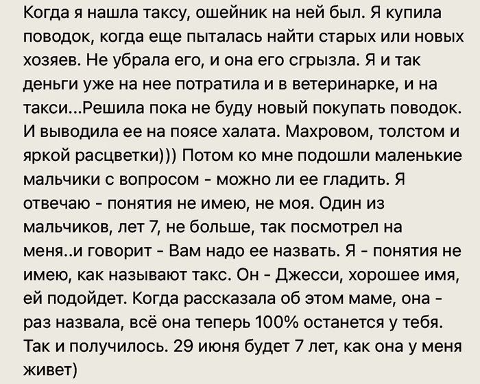 Такса завелась