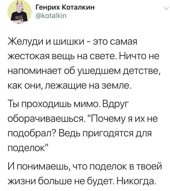 Don't pass by, think about it - Screenshot, Twitter, Humor, Genrikh Kotalkin