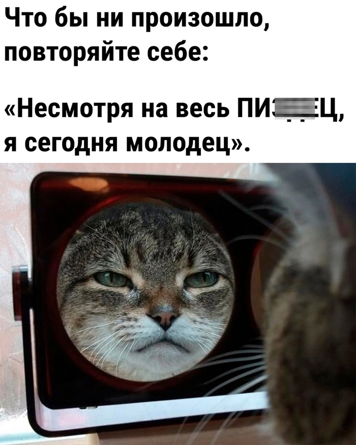    , ,   , , ,  , 