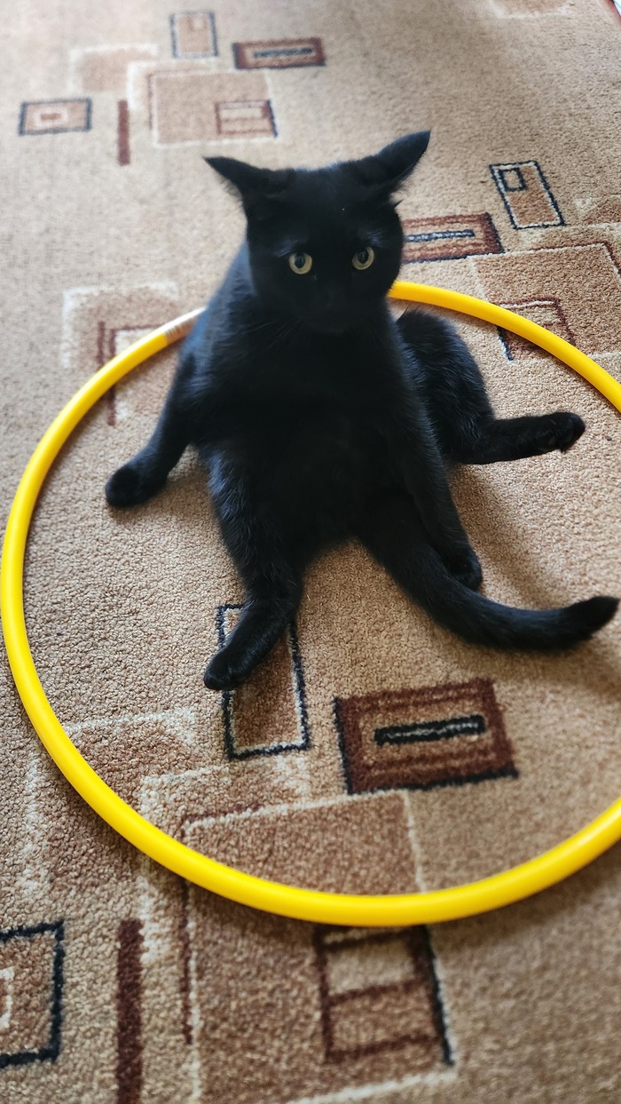 Че смотришь?