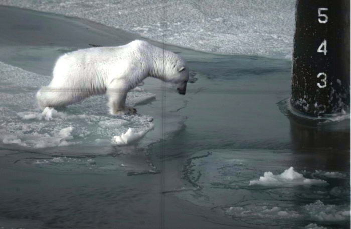 Подборка фотографий из прошлого, которые заставляют удивиться. 20 раскрашенных фотографий из XIX-ХХ века. Часть VIII Историческое фото, Старое фото, Фотография, Колоризация, 19 век, 20 век, Длиннопост