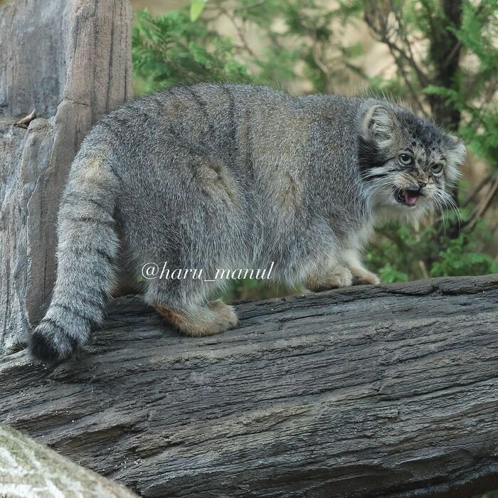 Бол! Ты - жаба! Мог бы и поделиться!