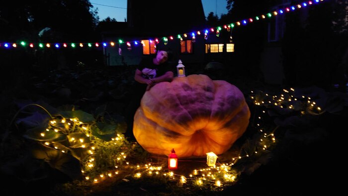 Тыква, при! Огород, Овощи, Садоводство, Растения, Сад, Большой размер