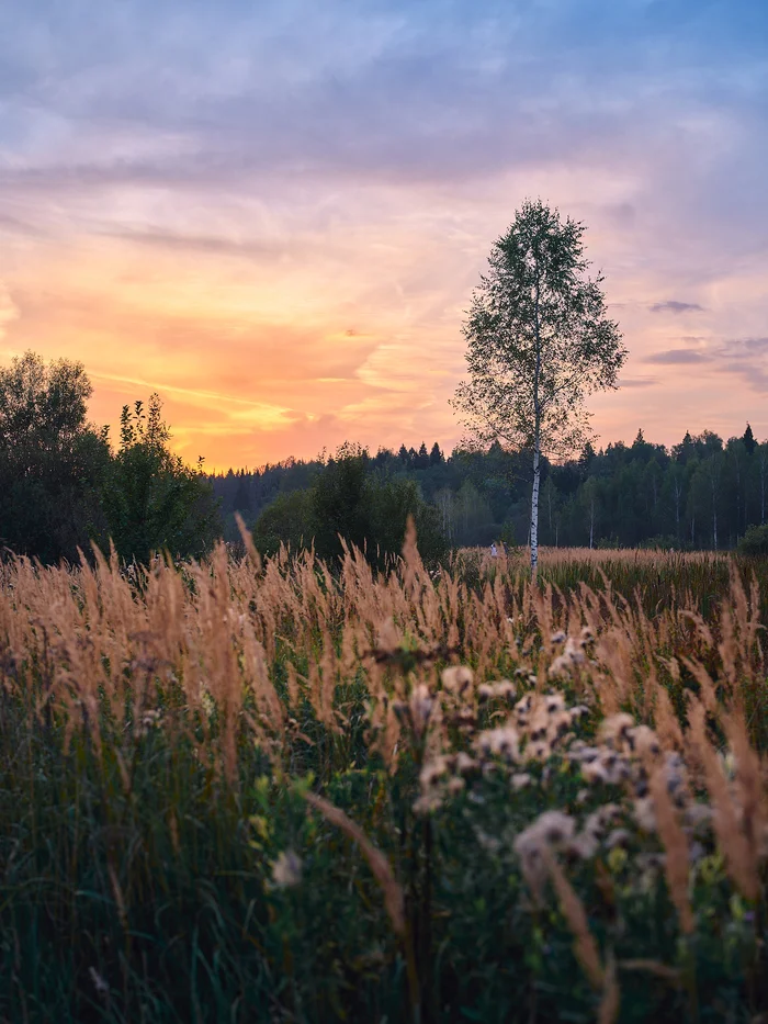 Лето уже позади - Моё, Фотография, Природа, Вечер, Небо, Закат, Обнинск