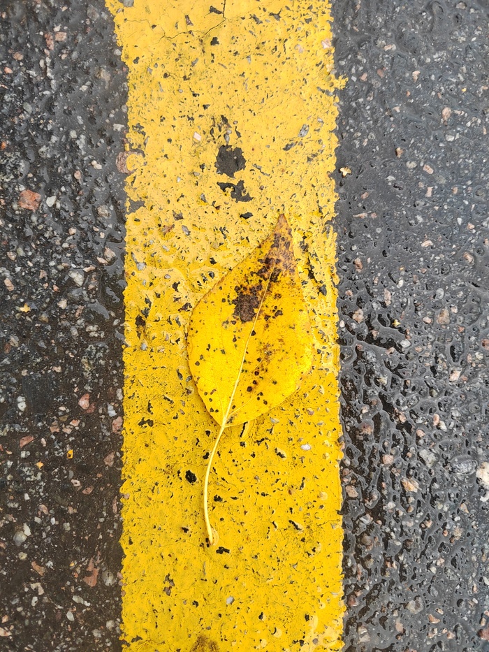  ,  , , , 