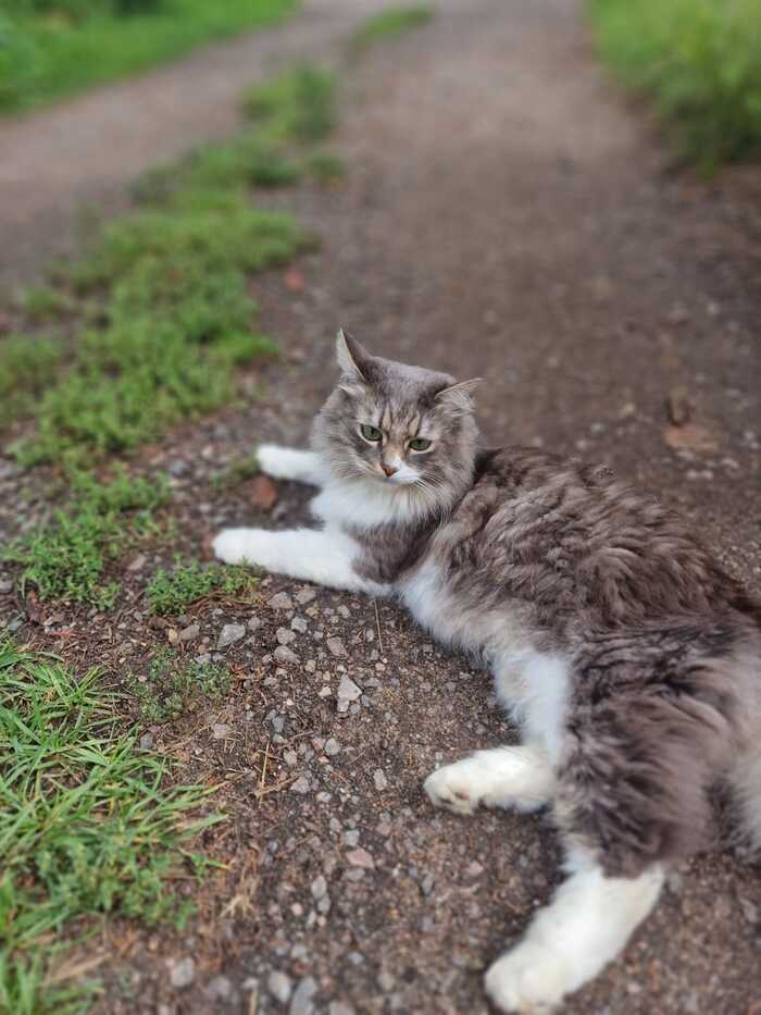 ��� ����� ������� � ��� �������. ��������