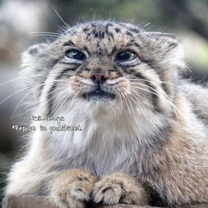 Ффффффф.... Какого я проснулся так рано в выходной?