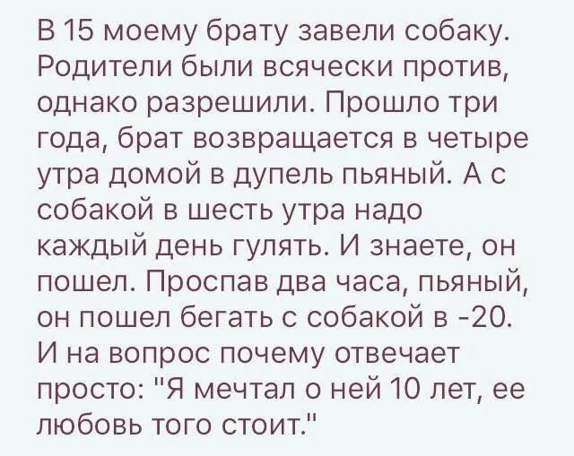 Ответственность - Истории из жизни, Собачники, Ответственность, Друг, Скриншот