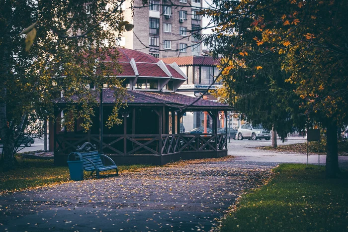 Кемерово, парк Антошка - Моё, Фотография, Город, Уличная фотография, Улица, Кемерово, Осень, Парк