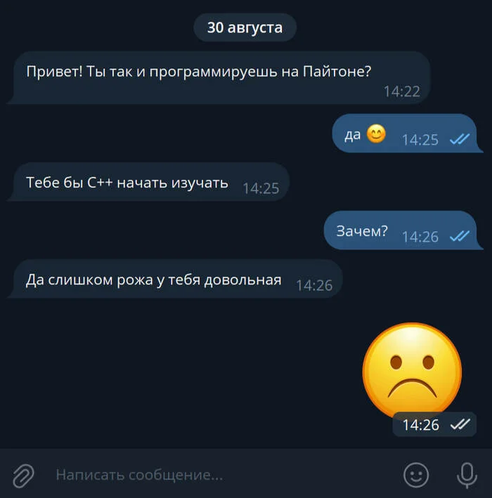 And immediately the smile disappeared) - Telegram (link), IT, IT humor, Programming, Python, Programmer, Correspondence, Screenshot