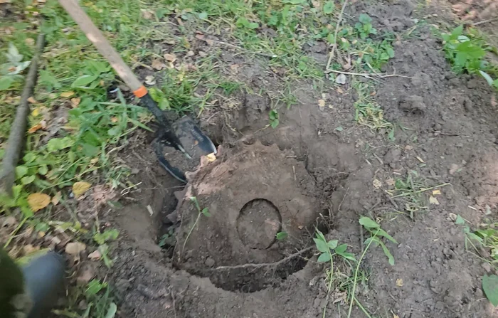 Finds from an abandoned NKVD training camp and prisoner of war camp - My, Find, Forest, Search, Abandoned, Longpost