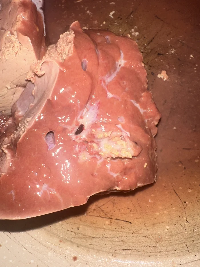 What surprises await you when you order through Cooper? Miratorg liver with a surprise - My, Bovine tapeworm, Miratorg, Cooper, Worm, Meat, Фрукты, Longpost