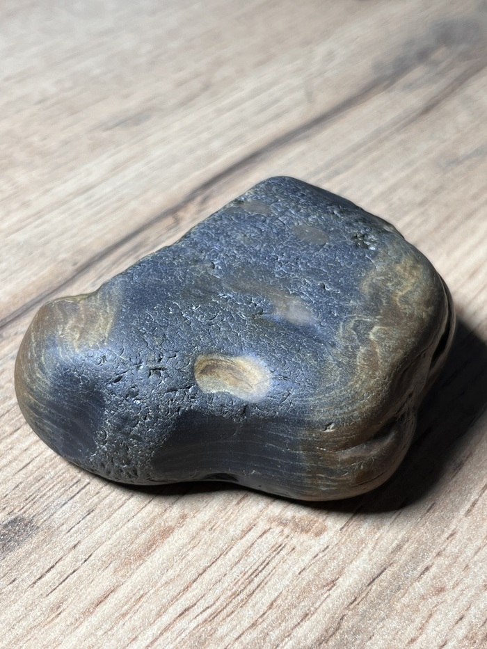 Окаменелое дерево