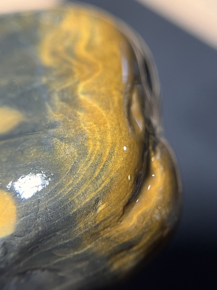 Окаменелое дерево