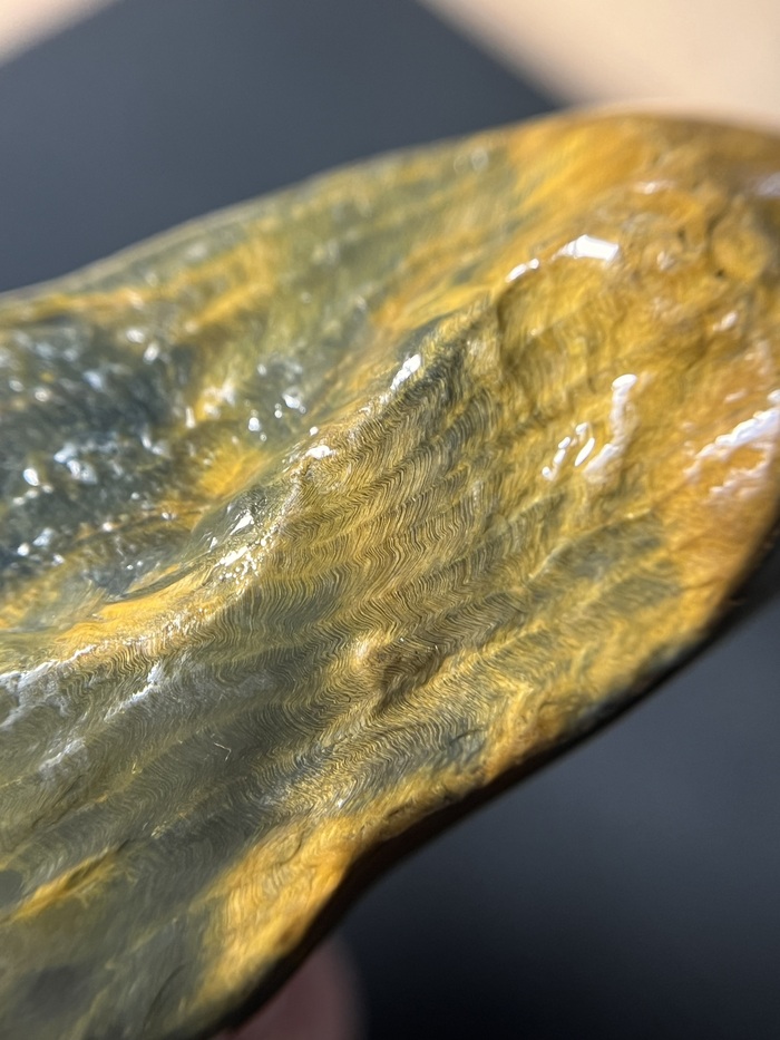 Окаменелое дерево