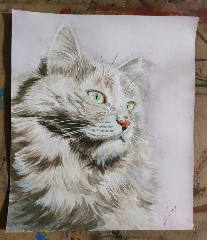 Cat portrait #13 Watercolor cat - My, Beginner artist, Painting, Drawing, cat, Animalistics, Watercolor, Animals, Illustrations, Self-taught artist, Learning to draw