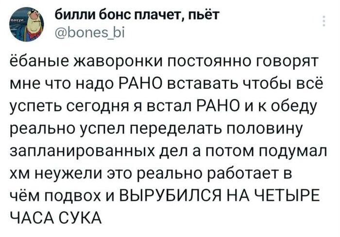 Возрождение (fb2)