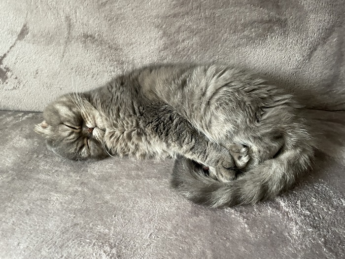 ����� �� �����