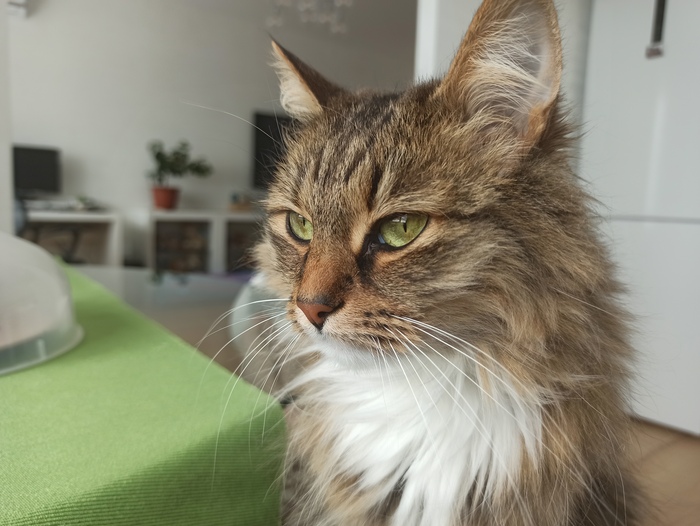 Задумчивое