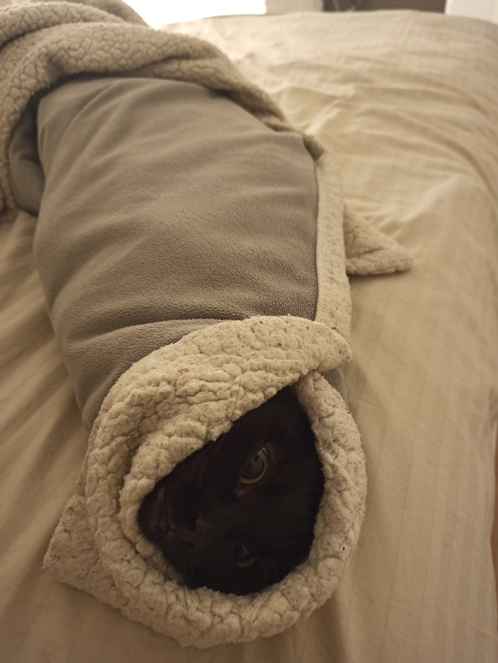 Комментировать только портить