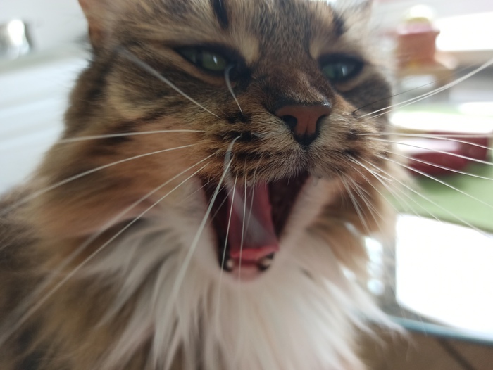 Орет, традиционно