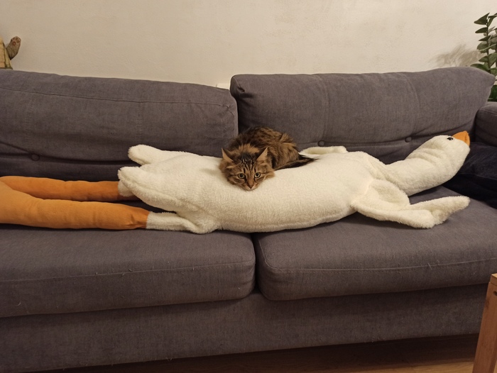 Севодня не обнимаешься