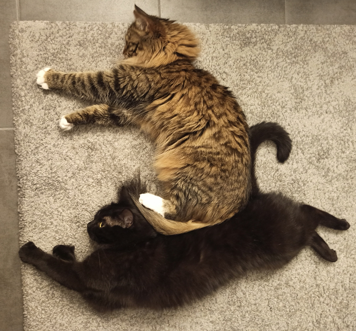 Я хз, что здесь было