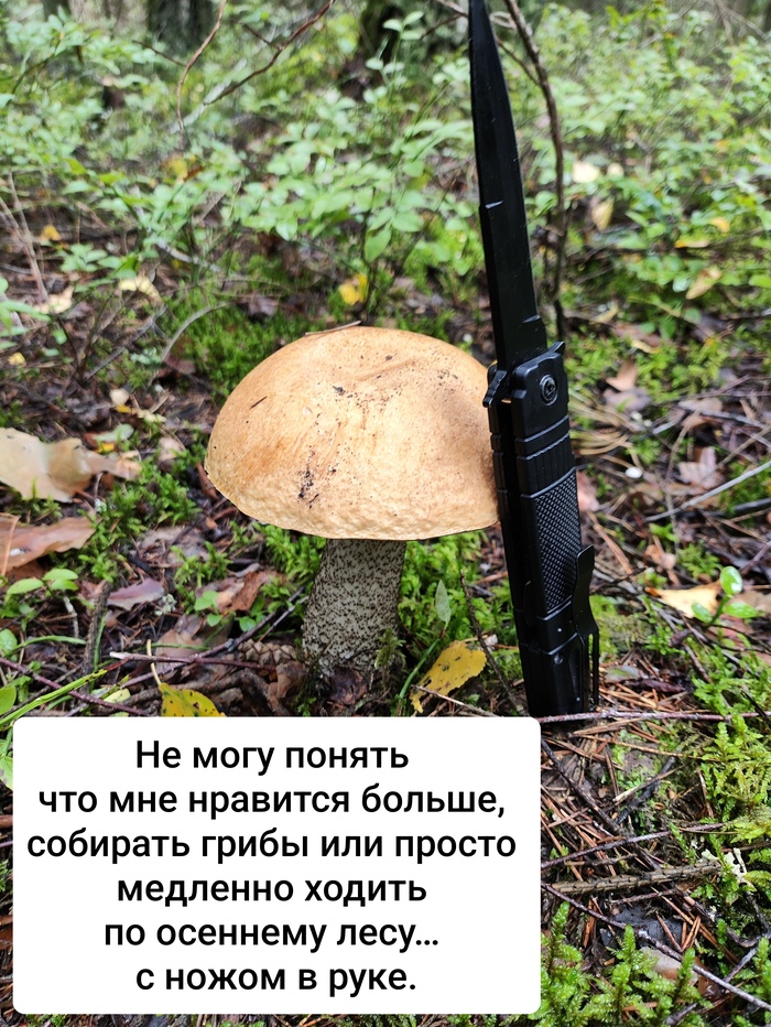 Тихая охота