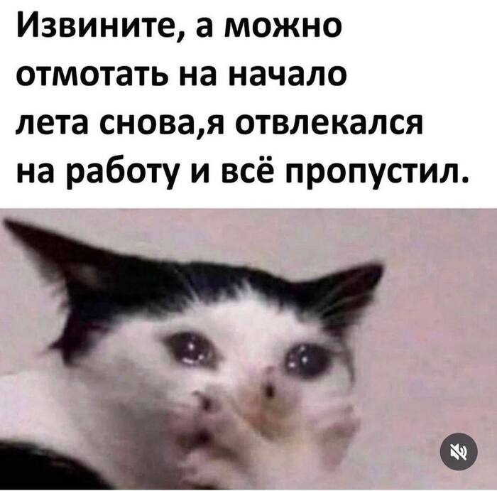   -2025,     , ,  , 