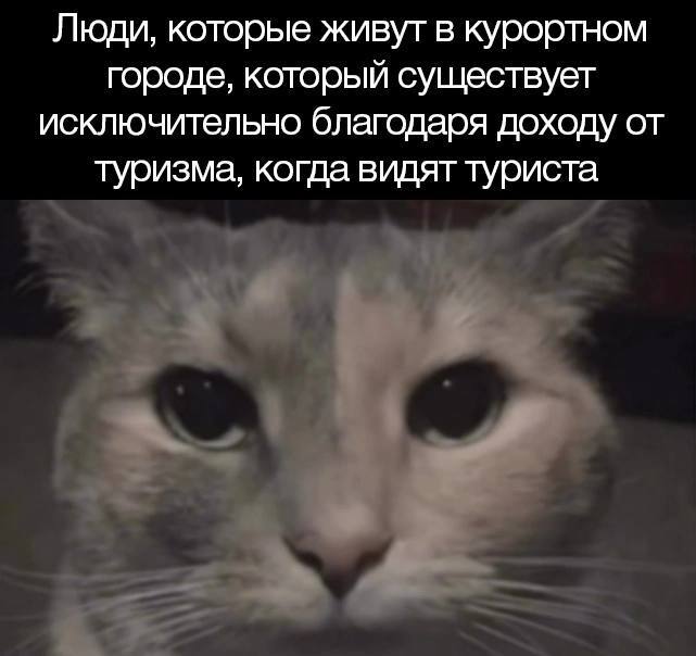 ��������� �����