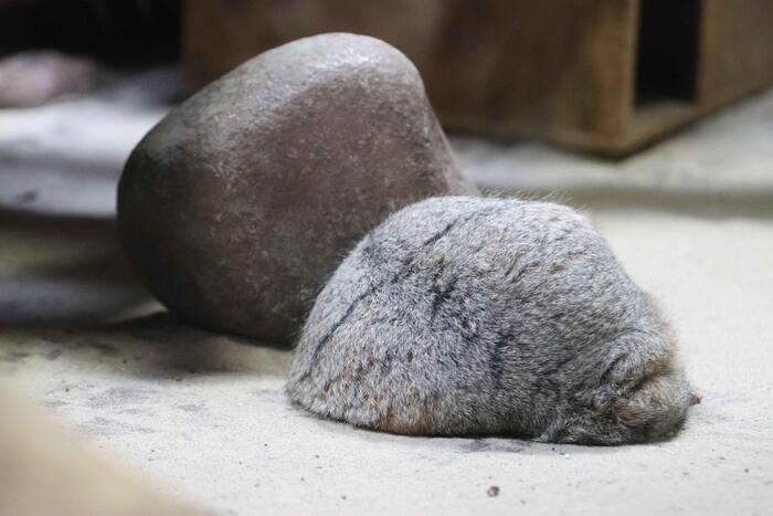 Время разбрасывать камни, время собирать камни