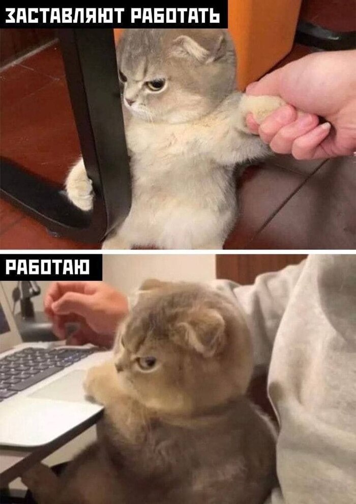 РаботаааааааааААААААА