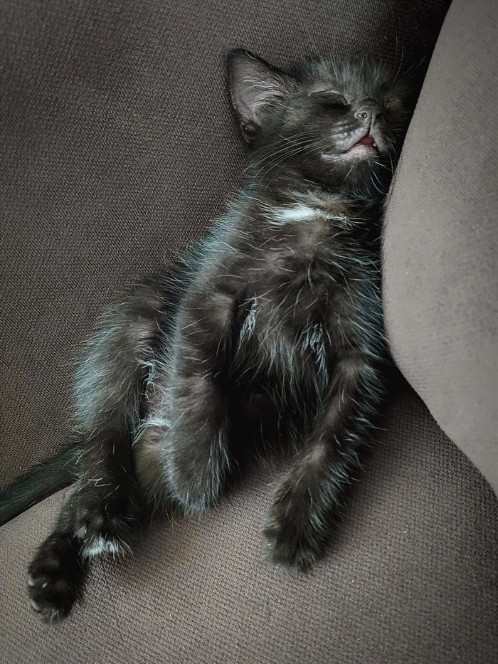     -, ,  , 
