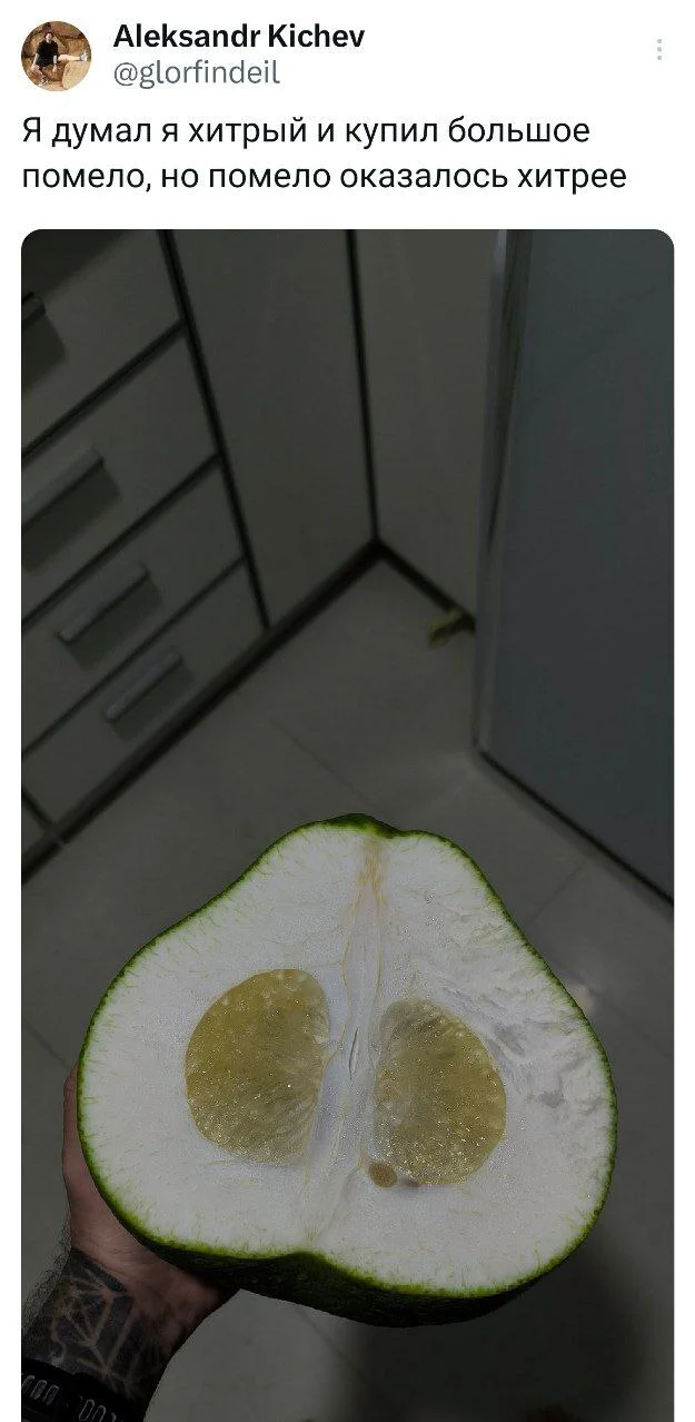 You can't outsmart a broom - Humor, Screenshot, Twitter, Pomelo, Cunning, Crust