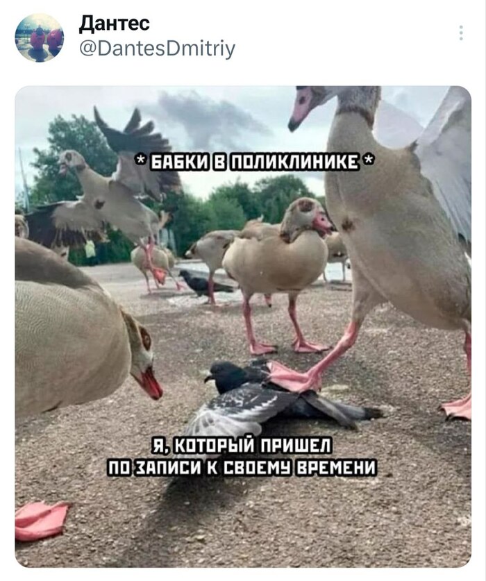 � ��� ������