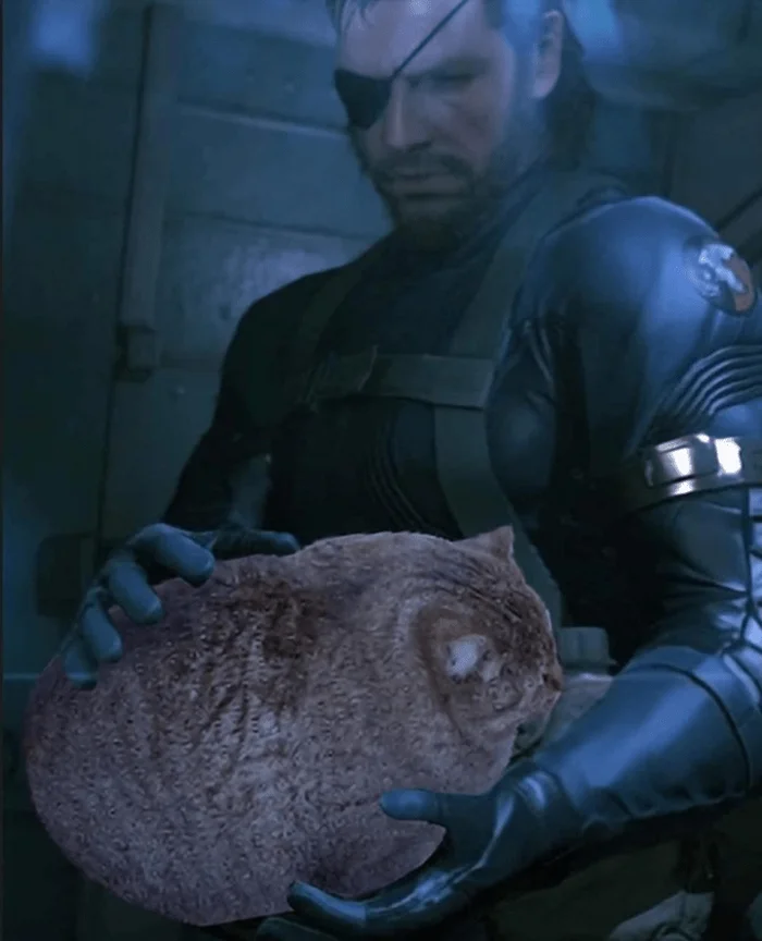 Прошло 9 лет с выхода Metal Gear Solid 5 - Metal Gear Solid, Metal Gear Solid 5, Игры