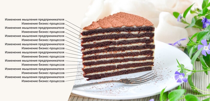 Растить бизнес — это как делать слоеный пирог. У меня это получается, поскольку опыт в бизнесе помогает настраивать бизнес-процессы, а опыт психолога помогать клиентам преодолевать затыки в мышлении