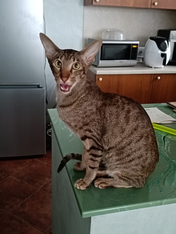  ! ,    , , , ,  ,  ,  , 