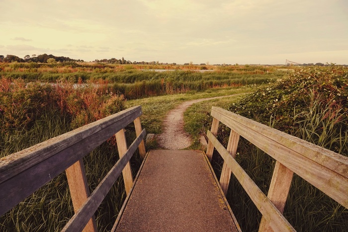 Уходило лето...