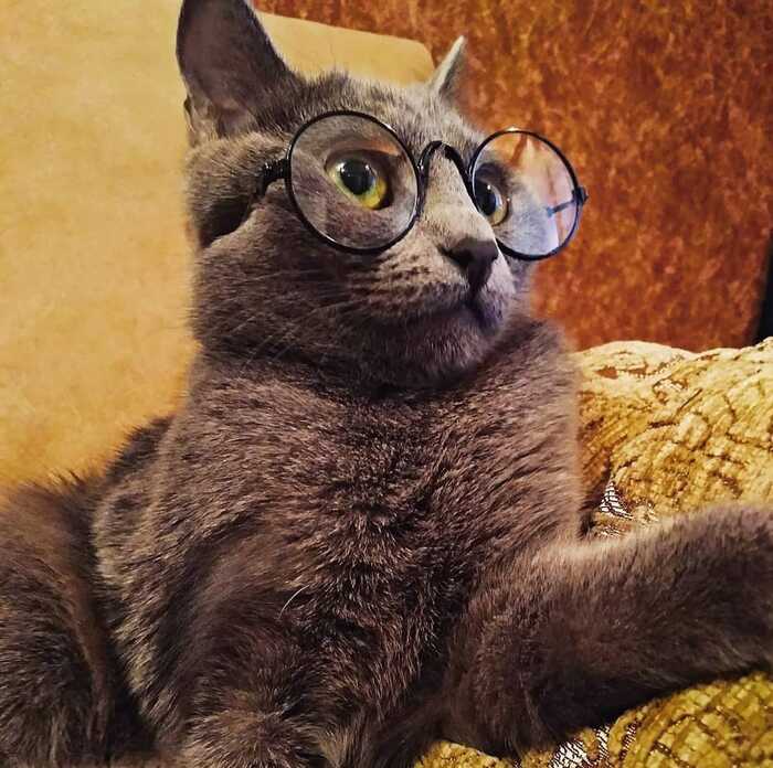 ! , 