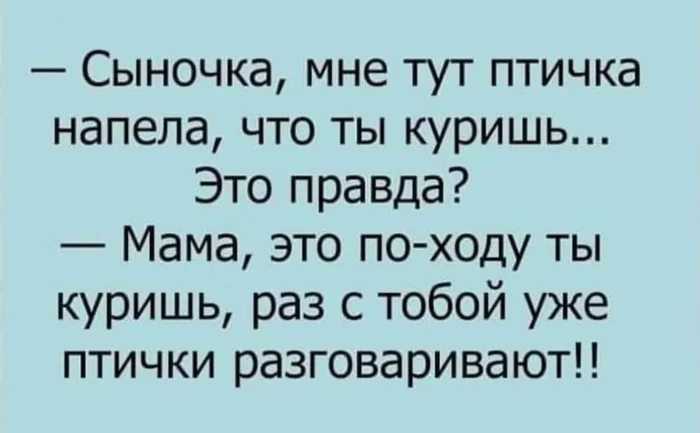 Это по-ходу ты... - Из сети, Юмор, Мемы, Курение, Птицы, Мама, Сын, Вопрос, Ответ, Диалог, Разговор, Общение, Анекдот, Картинка с текстом, Зашакалено