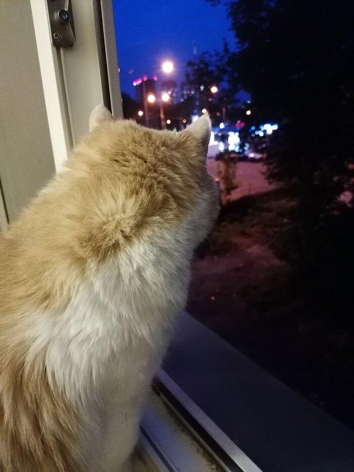 � ��� ���