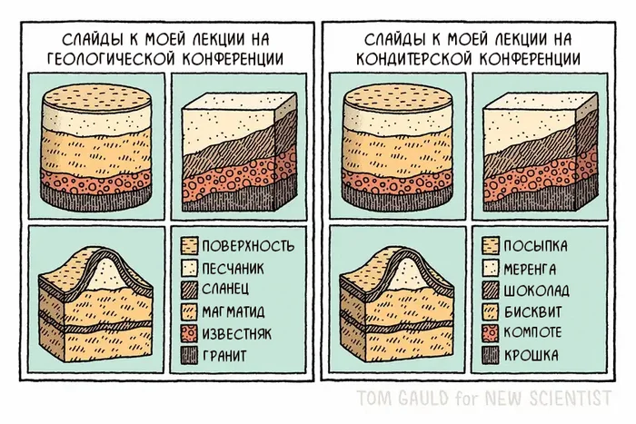 Reuse - Comics, Tom gauld, Translated by myself