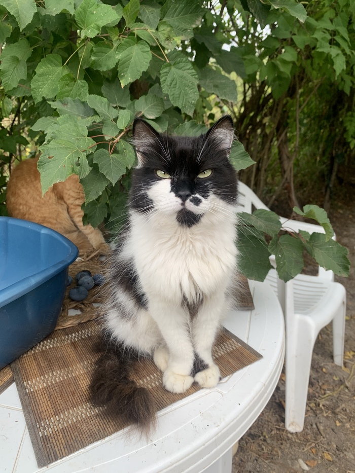 Прошло время и я прихожу в себя,трудно писать,трудно рассказать и трудно говорить,но я попробую с мыслями только о хорошем,о жизни и надежде